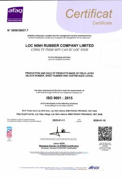 ISO 9001:2015_VN